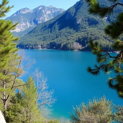 Oliveti terrazzati Riva del Garda